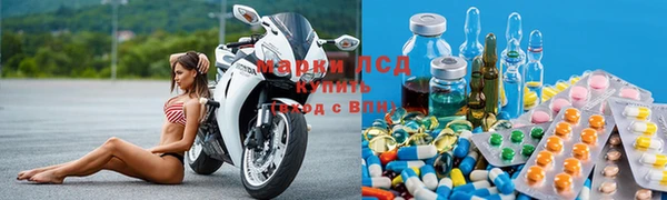 ПСИЛОЦИБИНОВЫЕ ГРИБЫ Алексин