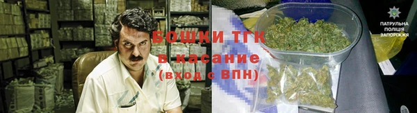 ПСИЛОЦИБИНОВЫЕ ГРИБЫ Алексин