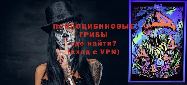 ПСИЛОЦИБИНОВЫЕ ГРИБЫ Алексин