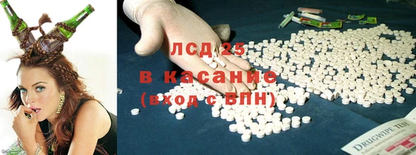 ПСИЛОЦИБИНОВЫЕ ГРИБЫ Алексин