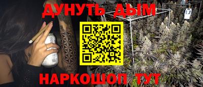 apvp Славгород