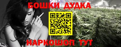 apvp Славгород