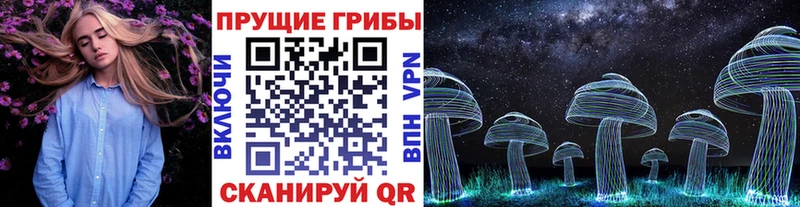 Галлюциногенные грибы ЛСД  закладки  Курганинск 