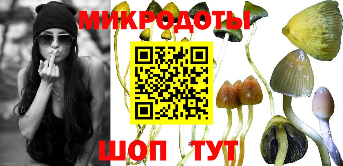 Псилоцибиновые грибы прущие грибы Курганинск
